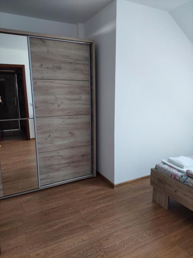 Casa Cristina Hotel Cîrţişoara Екстериор снимка