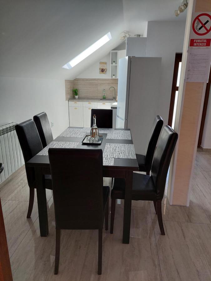 Casa Cristina Hotel Cîrţişoara Екстериор снимка