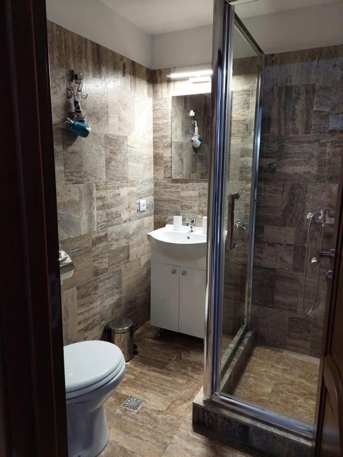 Casa Cristina Hotel Cîrţişoara Екстериор снимка