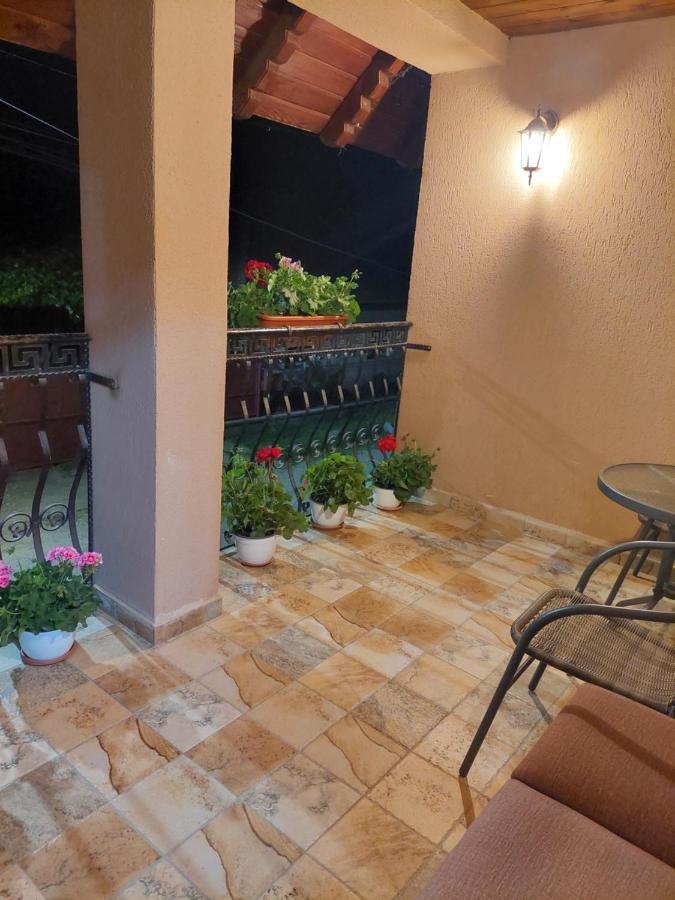 Casa Cristina Hotel Cîrţişoara Екстериор снимка