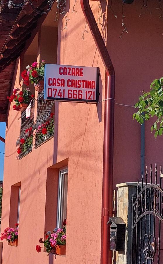 Casa Cristina Hotel Cîrţişoara Екстериор снимка