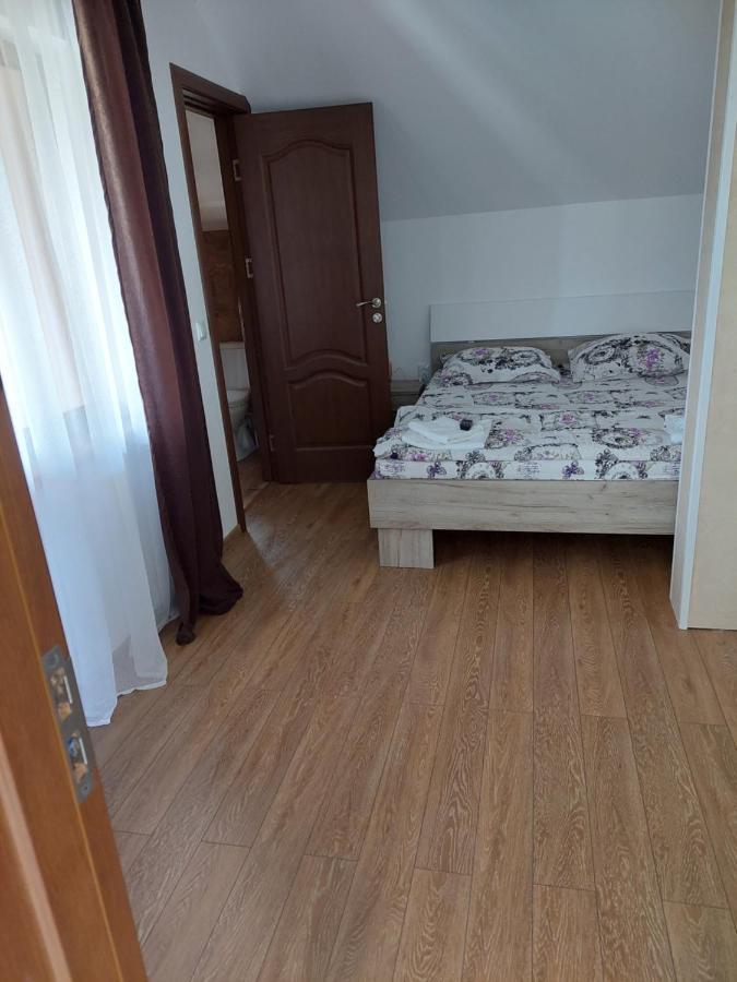 Casa Cristina Hotel Cîrţişoara Екстериор снимка