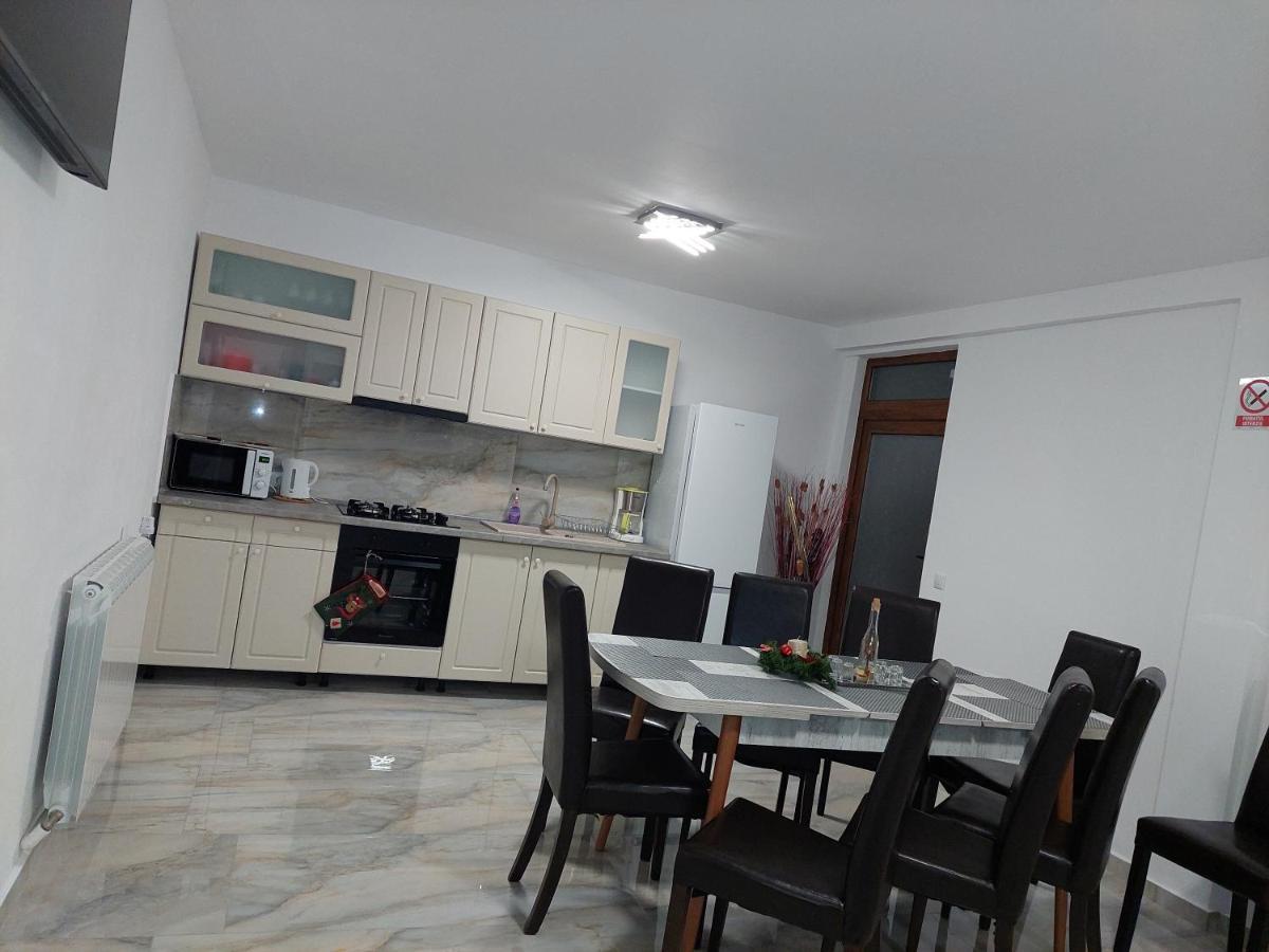 Casa Cristina Hotel Cîrţişoara Екстериор снимка