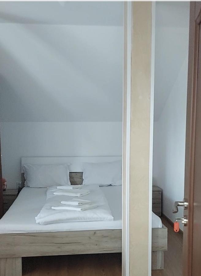 Casa Cristina Hotel Cîrţişoara Екстериор снимка