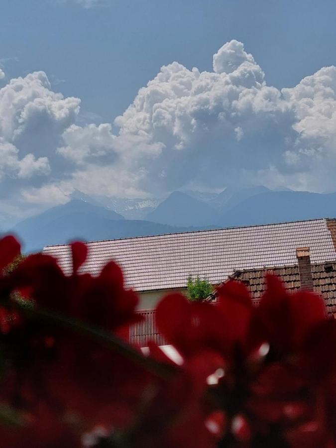 Casa Cristina Hotel Cîrţişoara Екстериор снимка