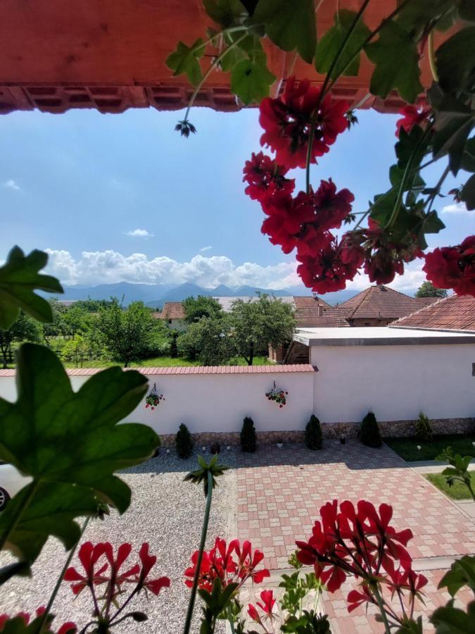 Casa Cristina Hotel Cîrţişoara Екстериор снимка