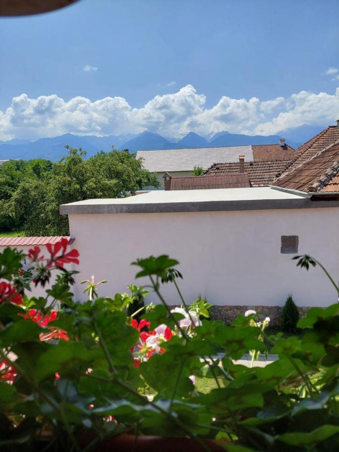 Casa Cristina Hotel Cîrţişoara Екстериор снимка