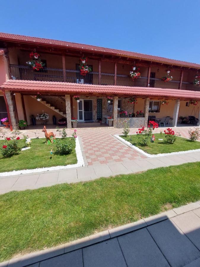 Casa Cristina Hotel Cîrţişoara Екстериор снимка