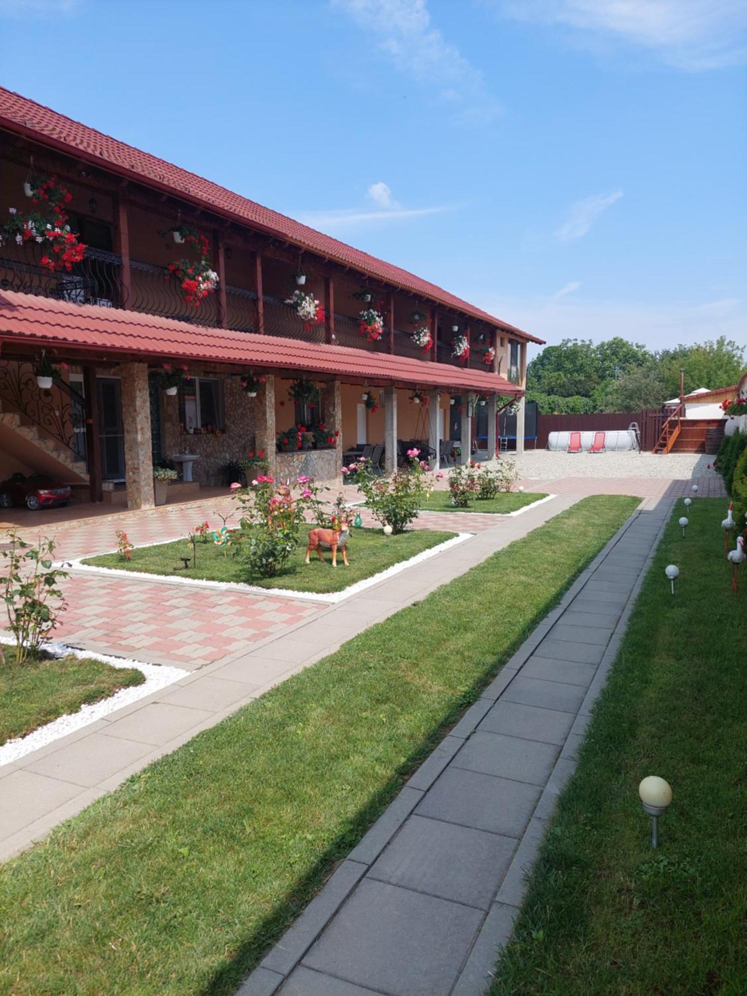 Casa Cristina Hotel Cîrţişoara Екстериор снимка