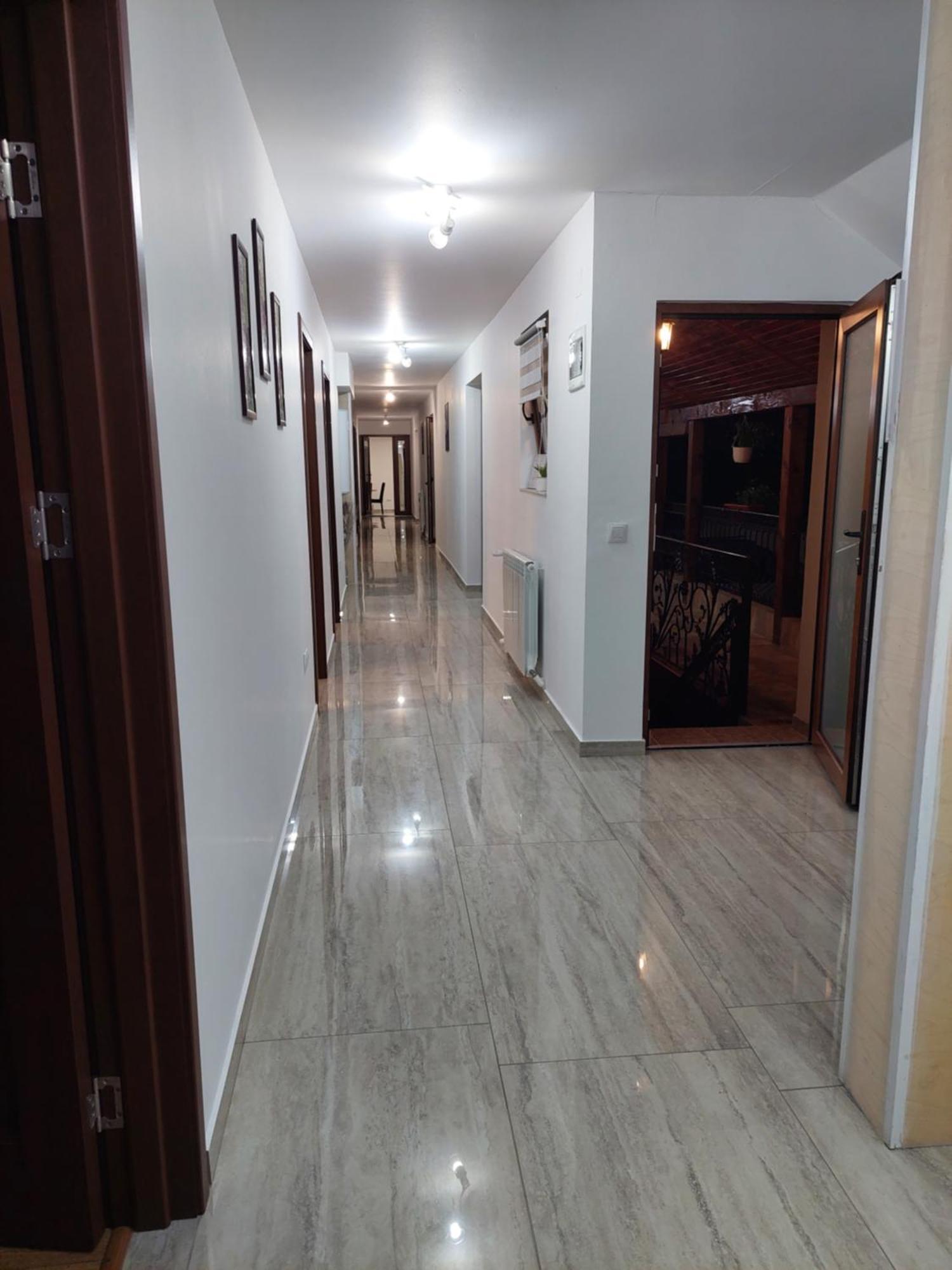 Casa Cristina Hotel Cîrţişoara Екстериор снимка